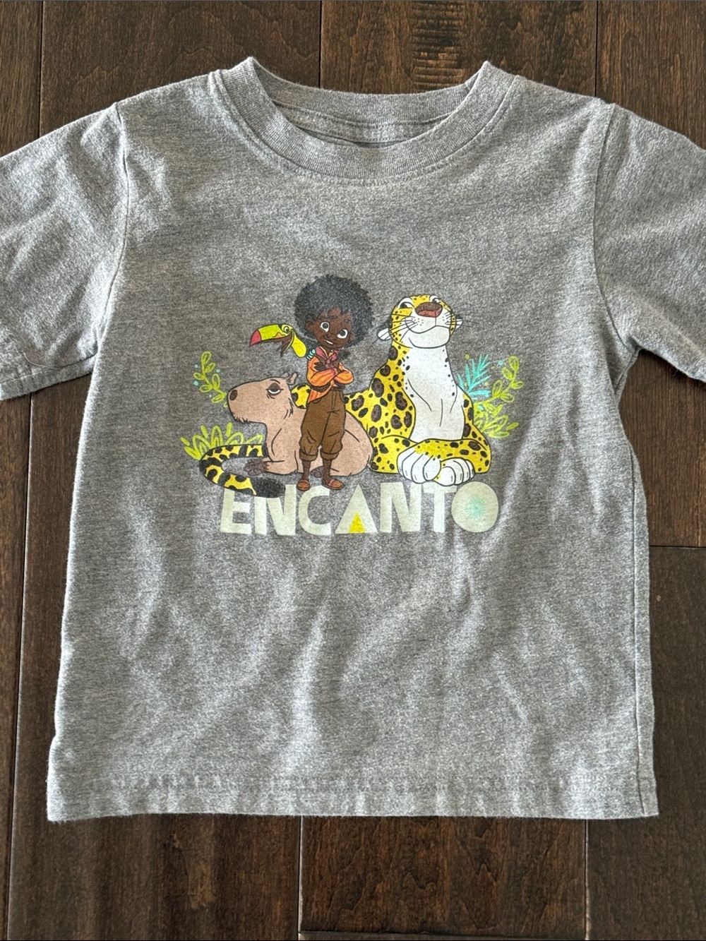 Disney Gray Encanto Antonio Kids Short Sleeve Graphic Tee